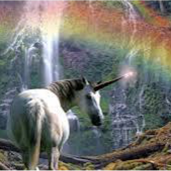 The Unicorn 🦄 no theme share show - Picture 5 of 10